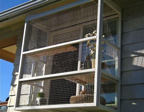 Cat Enclosures And Catios Outdoor Cat Enclosures Catio Spaces Seattle Wa Outdoor Cat House