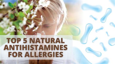 Dr Farrah® Top 5 Natural Antihistamines For Allergies Youtube