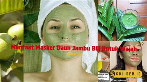 Temukan Manfaat Masker Daun Jambu Biji Untuk Wajah Yang Jarang