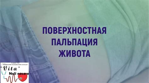 Поверхностная пальпация живота - YouTube
