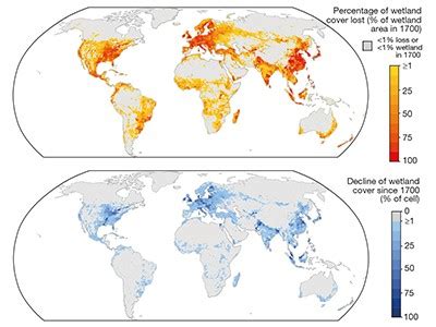 The Extent And Drivers Of Global Wetland Loss