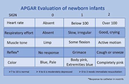 Clin Med I Exam 2 UNIT 10 Flashcards Quizlet