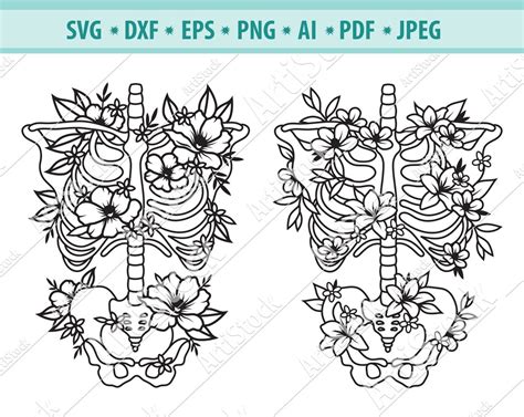 Skeleton Svg File Flower Skeleton Svg Flower Ribs Svg Etsy