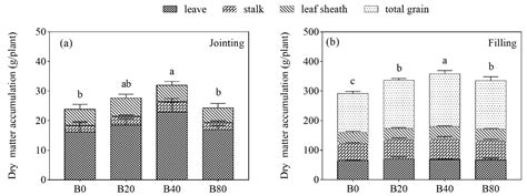 Agronomy Free Full Text Effects Of Biochar On The Microenvironment