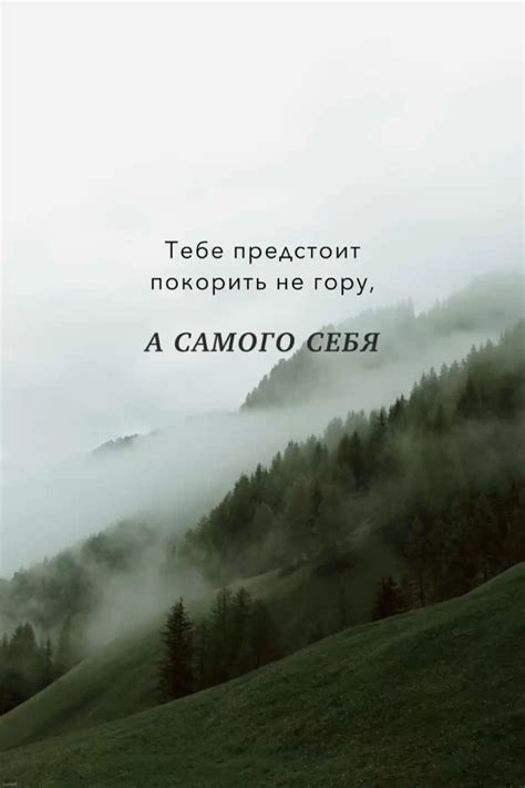 Мотивация | Цитаты | Memento Mori | Цитаты для мотивации, Поговорки со ...