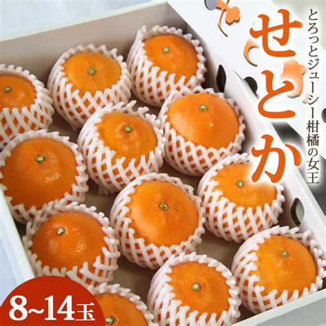 【楽天市場】【ふるさと納税】【2026年度配送分】とろっとジューシー せとか 約3kg（8～14玉）秀品・丸秀品混合 果物 果実 くだもの