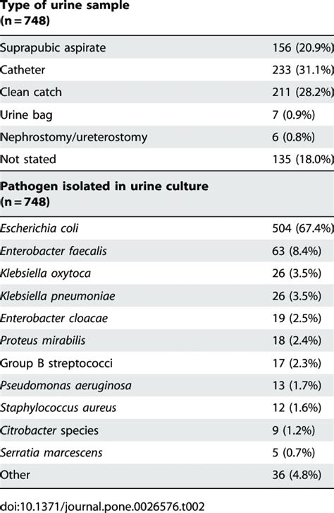 Urine Culture Test