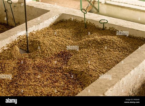 Mucilage Tourism Hi Res Stock Photography And Images Alamy