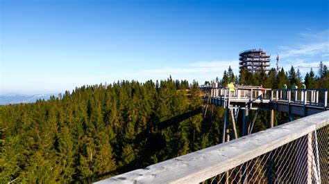 Kraków Wycieczka do Zakopanego i nad Morskie Oko oraz spacer w