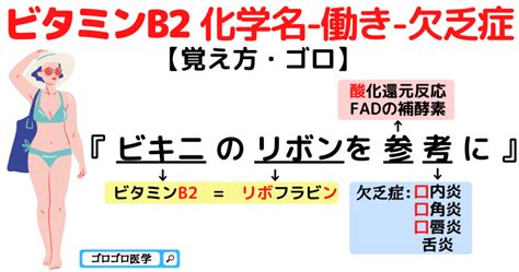 【ビタミンb全8種類まとめ】化学名（別名） 欠乏症 補酵素の覚え方・ゴロ ゴロゴロ医学