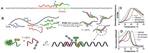 Determination of the potential mutations in the HFE gene in models of ...