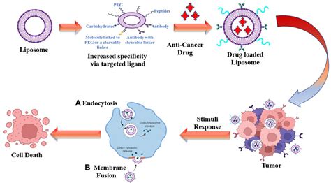 Frontiers “smart” Drug Delivery A Window To Future Of Translational