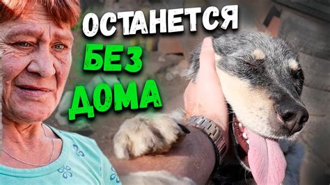ВОПРОС С ДОМОМ ЗАХОДИТ В ТУПИК // КОГДА ПЕРЕЕЗД ? - YouTube