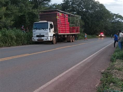 Caminh O Carga De Frangos Tomba Na Go A Cerca De Quil Metros