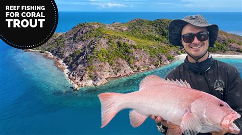 Coral Trout Fishing On The Great Barrier Reef Youtube