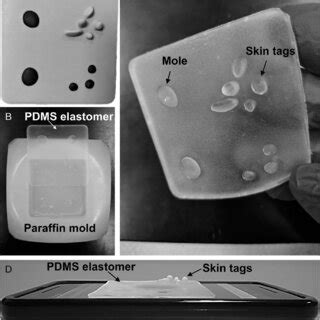 Development of a PDMS elastomer skin overlay. A, Photograph of a ...