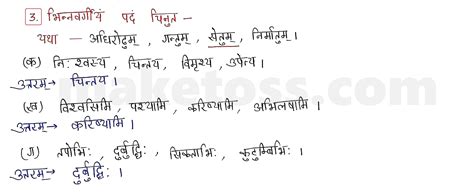 Sanskrit Class 9 Chapter 7 सिकतासेतुः Ncert Exercise Solution Question Answer 2023 24