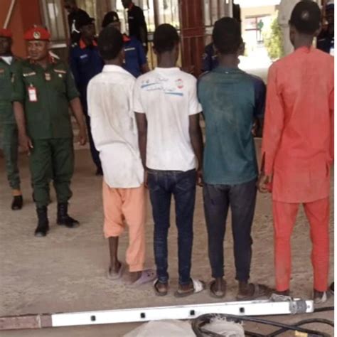 Six Suspected Electricity Transformer Vandals Arrested In Yobe Daily Post Nigeria