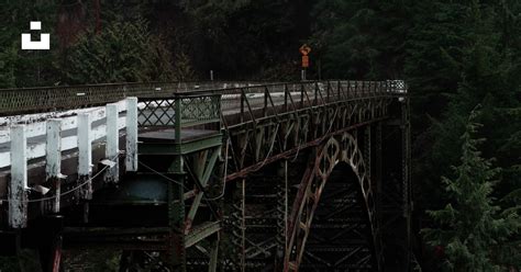 Metal Arch Bridge Facing Trees Photo Free Black Image On Unsplash