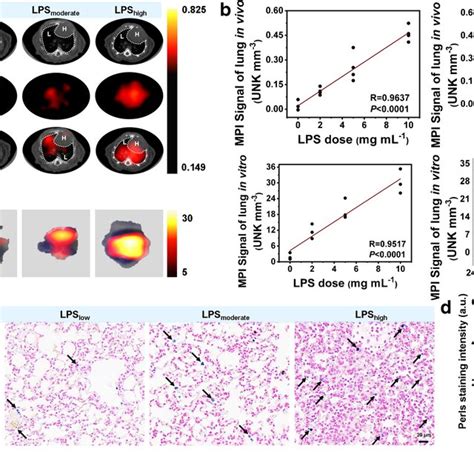 Mpi Images Of The Severity Of Lung Inflammation In Lps Induced Ali