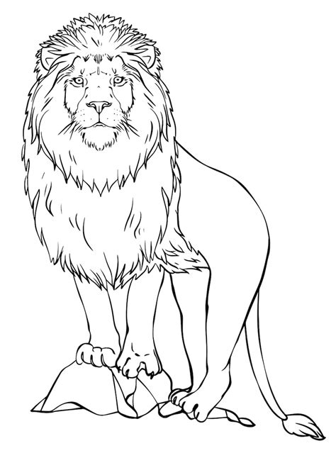 Coloriage lion réaliste Dessin Lion à imprimer