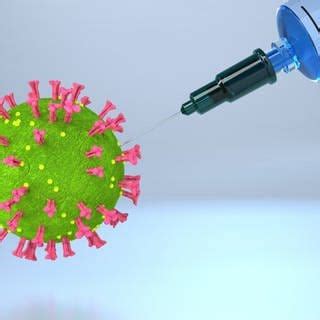 K Nnen Sich Genesene Wieder Mit Dem Coronavirus Infizieren Swr Wissen