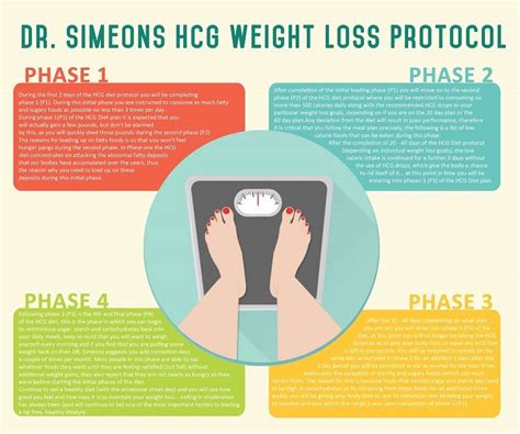 Dr Simeons Hcg Weight Loss Protocol Infographic Only Infographic