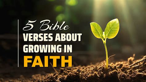 Bible Verses About Growing In Faith