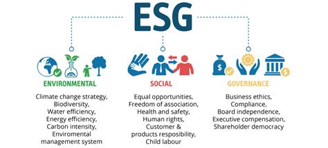 Esg Assessment Fael Security Srl Fael Security