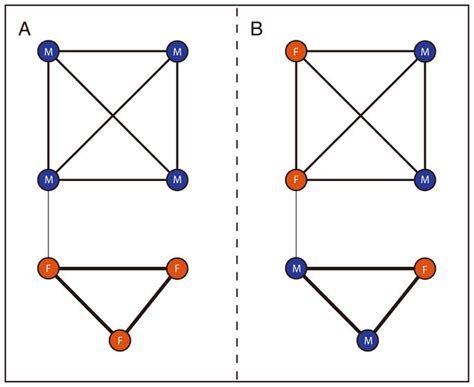 Network Construction From Overlapping Cliques And The Gender Neutral Download Scientific