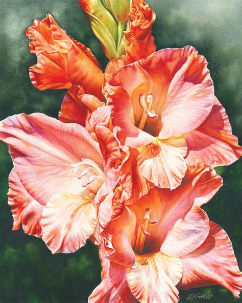 Painting Glorious Gladiola Original Art By Debbie Friis Pettitt