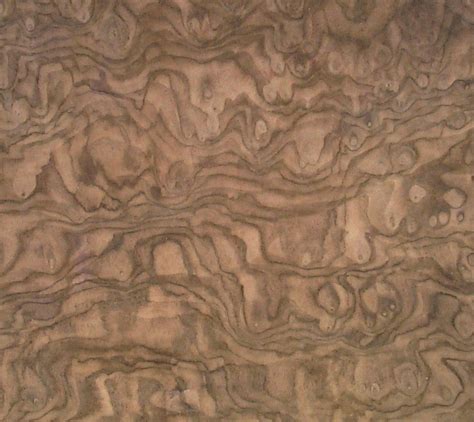 Walnut Burl Booth Veneers