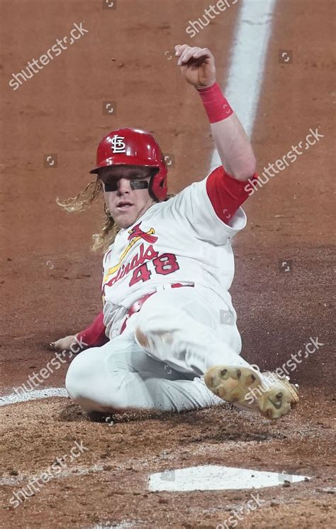 St Louis Cardinals Harrison Bader Slides Editorial Stock Photo Stock