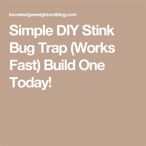 The No 1 Best Homemade Stink Bug Trap To Make Tested Bug Trap Stink Bug Trap Stink Bugs