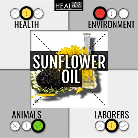 Sunflower Oil Pros And Cons Archives Healabel