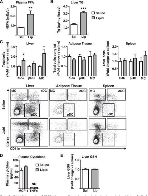 Figure 1 From RESEARCH Immunometabolic Cross Talk And Regulation Of