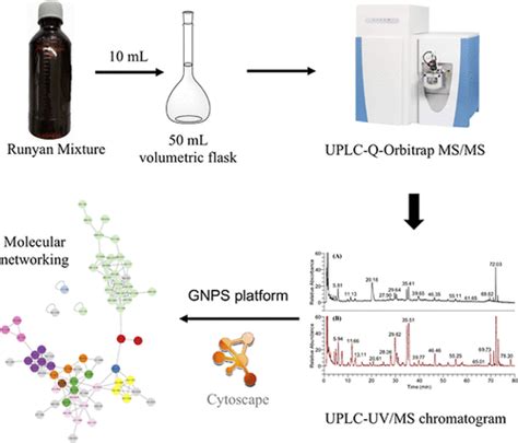 UHPLC Q Orbitrap Mass Spectrometry Based Molecular Networking For