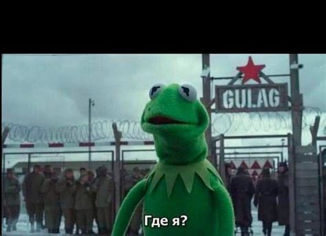 Создать мем "кермит, gulag, лягушонок кермит" - Картинки - Meme-arsenal.com