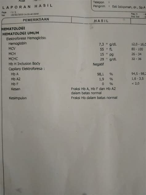 Elektroforesa Hemoglobin Hellosehat