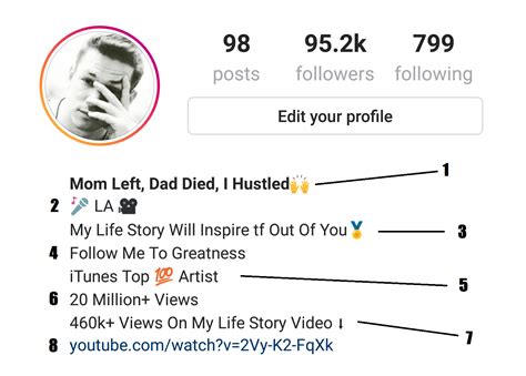 How To Make A Good Instagram Bio To Gain Followers Fast And Easy