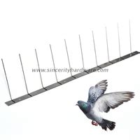 Shss Get Rid Of Bird Effectively Wide Base Stainless Steel Bird