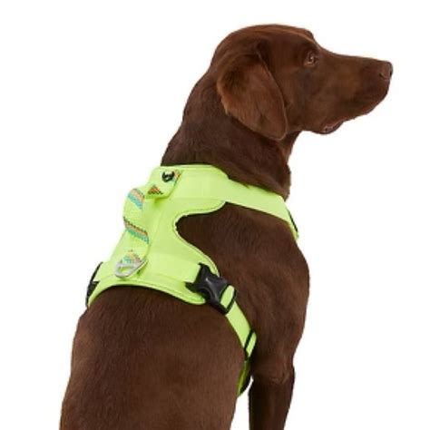 Arcadia Trail Dog Arcadia Trail Neoprene Dog Harness Poshmark