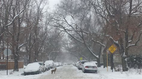 Timeline: What to Expect and When as Winter Storm Eyes Parts of Chicago ...