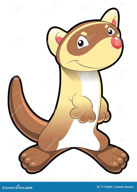 Baby Ferret Stock Vector Illustration Of Child Young 7113669