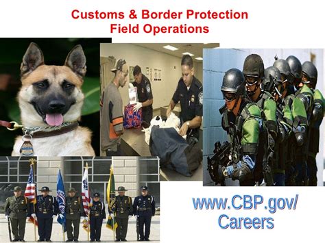 Us Customs And Border Protection Jobs For Everyone