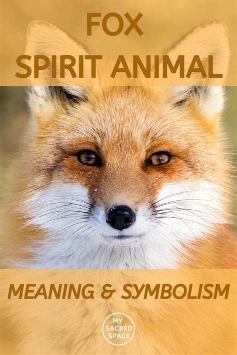 Spirit Animal Fox Meaning, and Symbolism - My Sacred Space Design