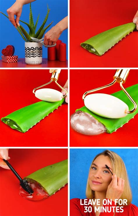 How To Use Aloe Vera For The Face And Body 8 Easy Recipes 5 Minute Crafts