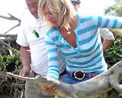 Jessica Alba Nude Pics Videos Sex Tape