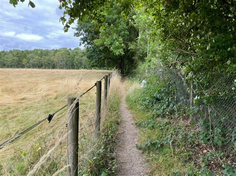 Path Towards Ashe Park Copse Mr Ignavy Cc By Sa Geograph