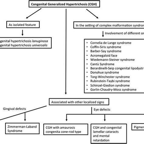 Diagnostic Algorithm For Congenital Generalized Hypertrichosis